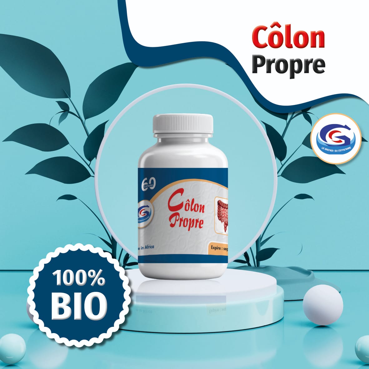 Colon Propre